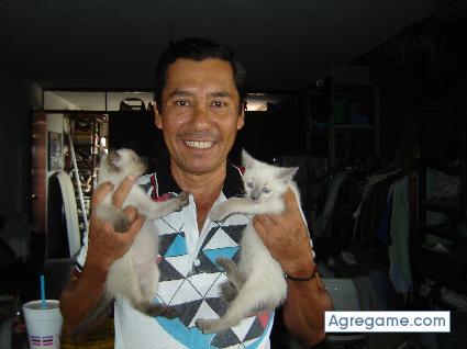 Fotos chopperluis guadalajara