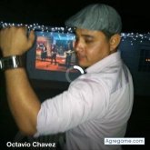 Foto de perfil de Chaves