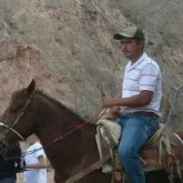 Hombres solteros en Pabellón De Arteaga (Aguascalientes) - Agregame.com