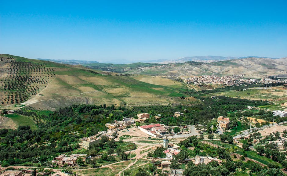 taza juego de tronos sensible large