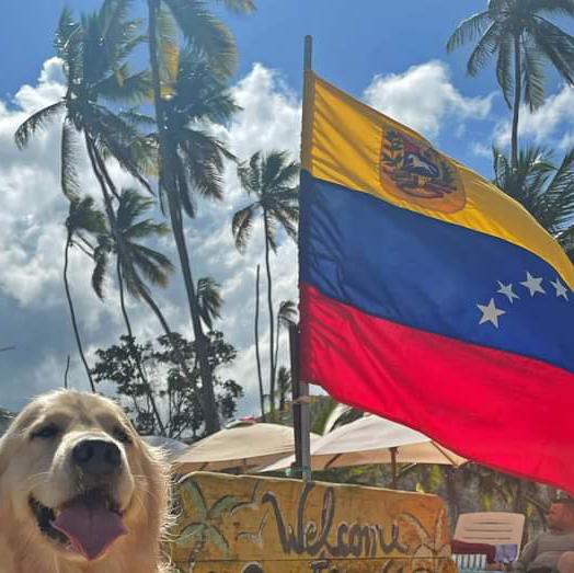 Venezolanos en talca 💪🇻🇪🦾