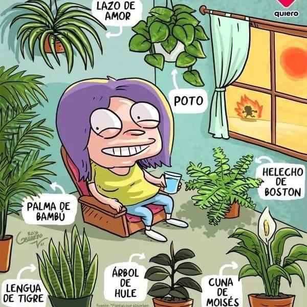12 corazones comayagua