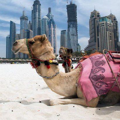 Emiratos Arabes Unidos 