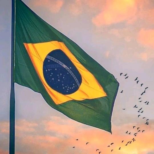 Amizades do Brasil e Colô 