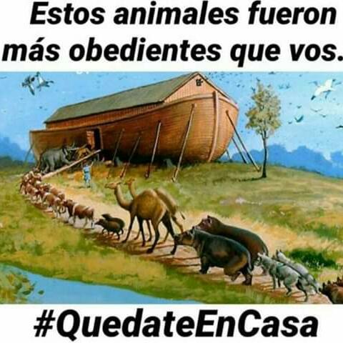 Youtubers y redes