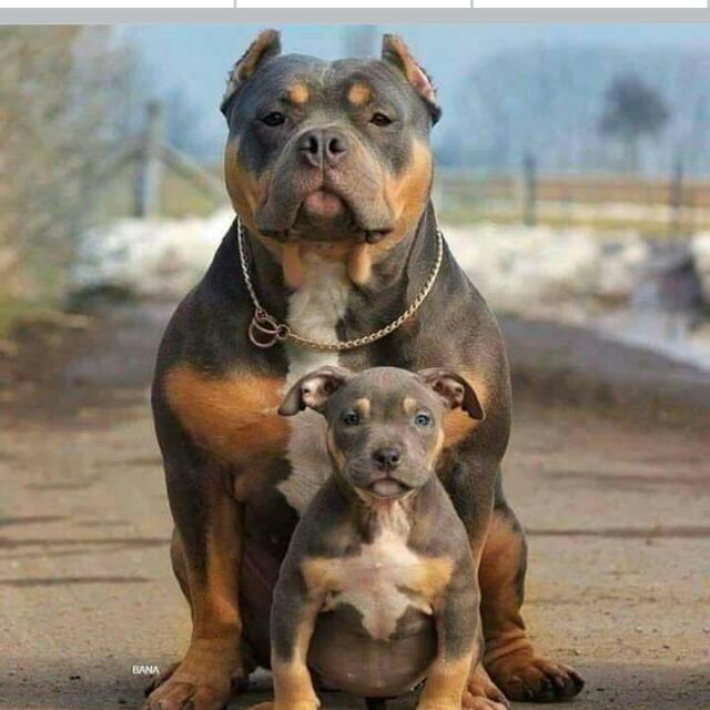 Amigos de todos lados