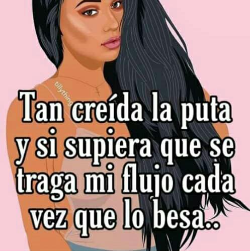 Seguidores en Instagram 