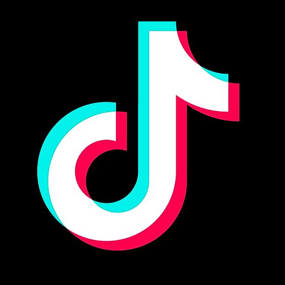 Seguidores para TikTok