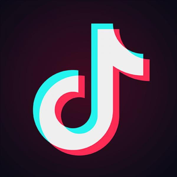 Dinámica followers tiktok
