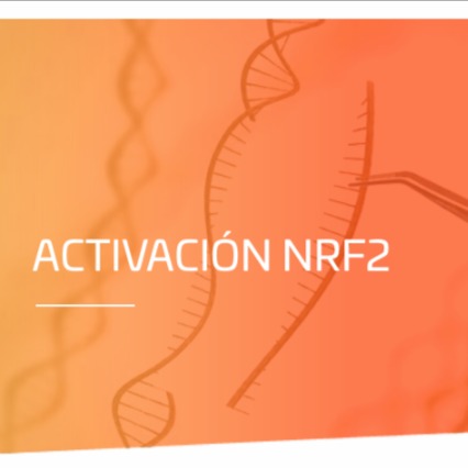 Salud y bienestar activz