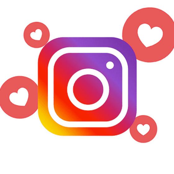 Full Seguidores leales