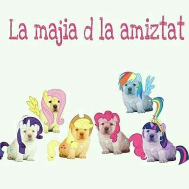 ✨💗amistades verdaderas💗✨