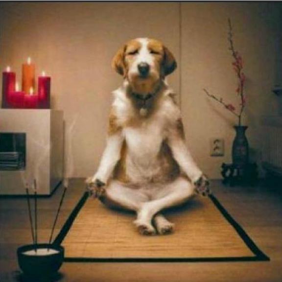 Grupo Meditación Baiona