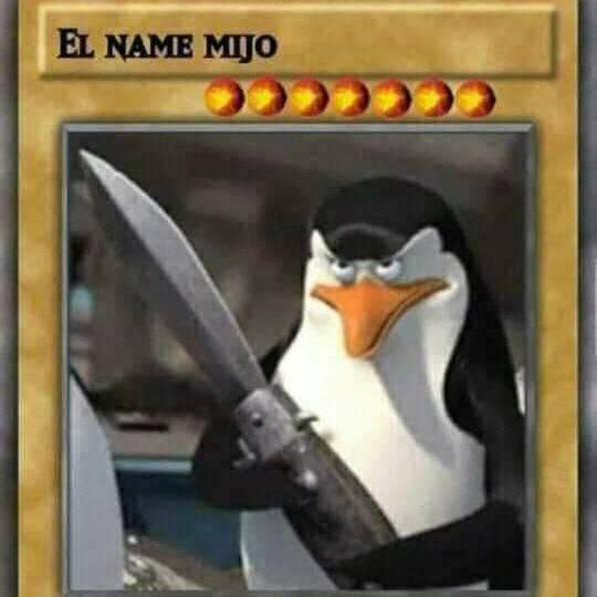 Transformación Iluminada