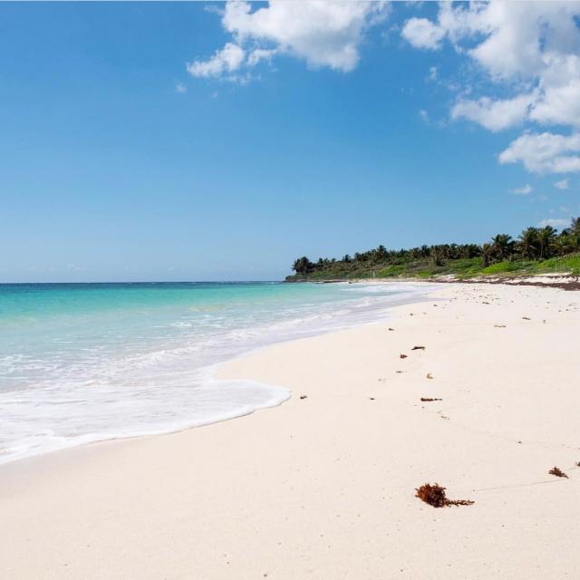 PlayaTenerife 