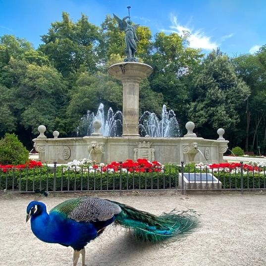 Valladolid y Palencia ❤️