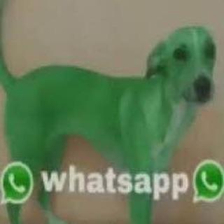 $𝘁𝗶𝗰𝗸𝗲𝗿𝘀 𝗫𝗗 ™🌽🐶