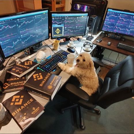 Señales De Trading