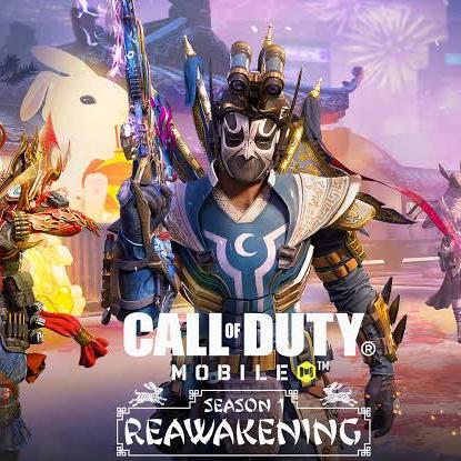 Call of Duty Mobile Gamers