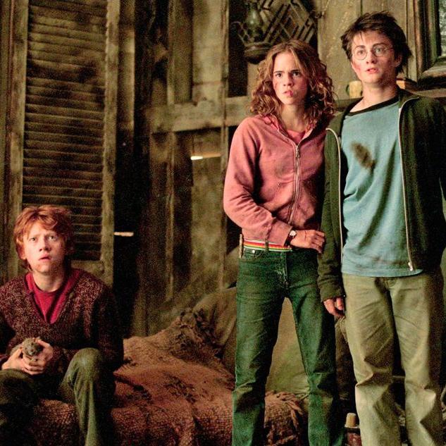 Fans Harry Potter