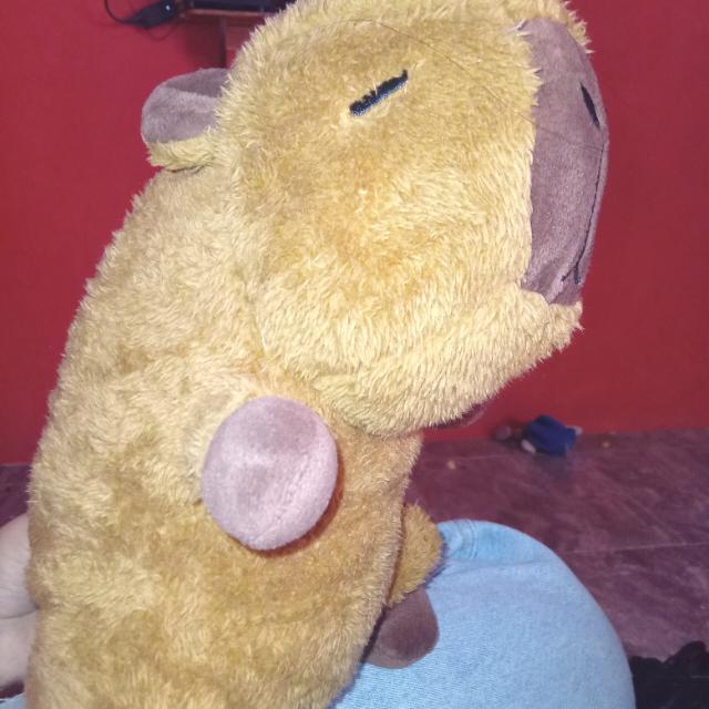 De acá no salis sin pareja o amigos