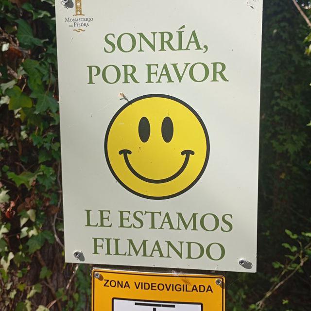 Perdidos en Zaragoza