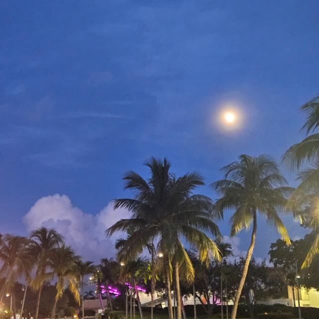 Españoles Fijos en Miami🇪🇸🌴