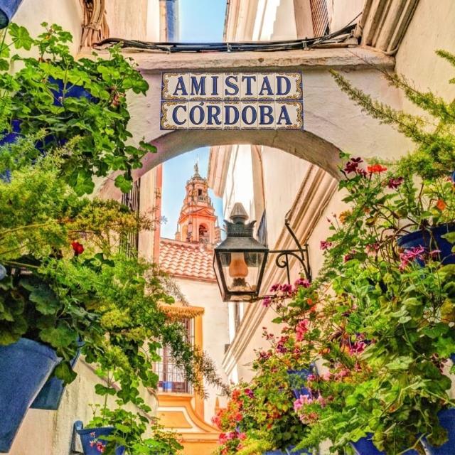 AMISTAD CÓRDOBA 🇳🇬 (ESPAÑA)🇪🇸