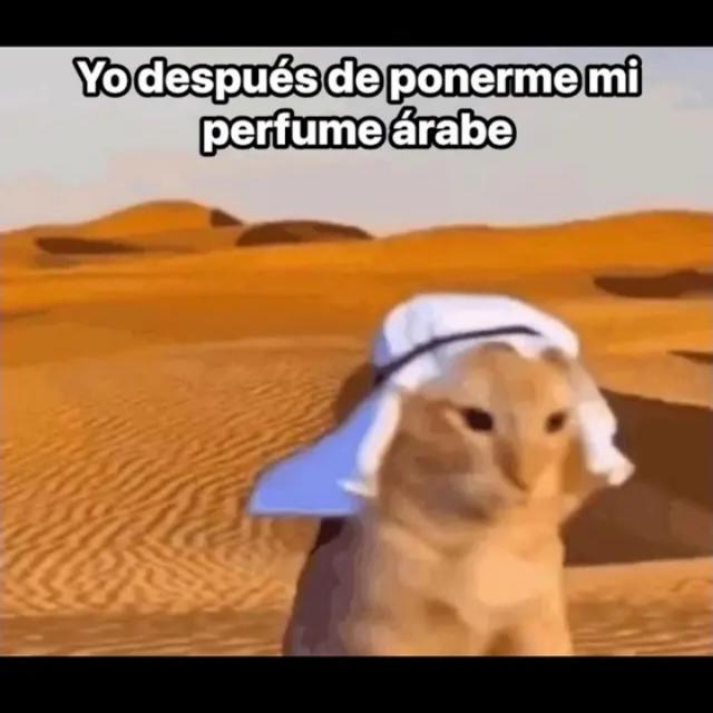 Chicos y Chicas