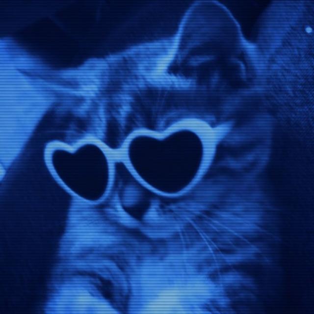 ✨✮𝐒𝐓𝐀𝐑𝐋𝐈𝐆𝐇𝐓✮✨