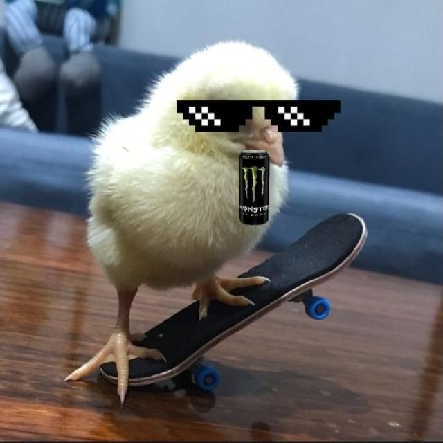 ꧁𝕼𝖚𝖊𝖊𝖓 𝖔𝖋 𝕮𝖍𝖆𝖔𝖘꧂