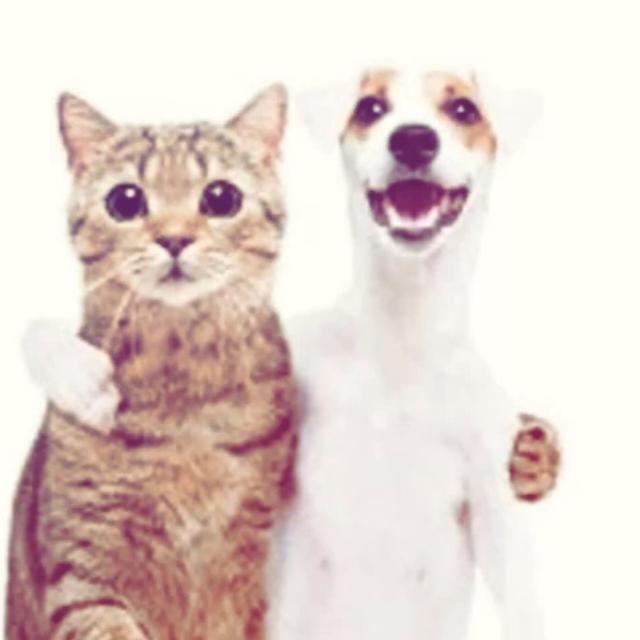 amigos cercanos