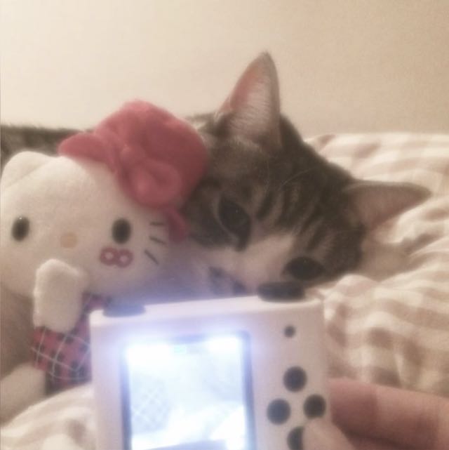 ⋆˚꩜ 𝒜𝓃𝓉𝒾𝓈ℴ𝒸𝒾𝒶𝓁 𝓁𝒾𝒻ℯ ⋆˚꩜