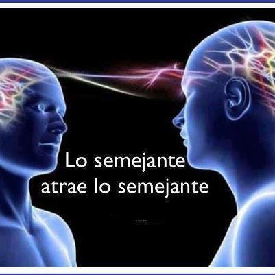 Sabiduría en Frases 📚