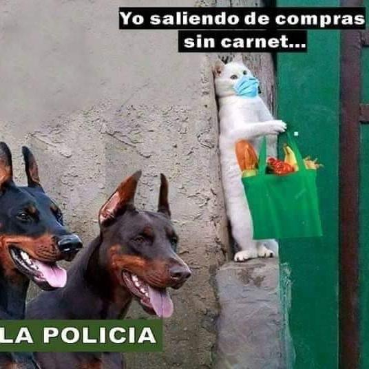 VIDEOS DE RISA INFINITA
