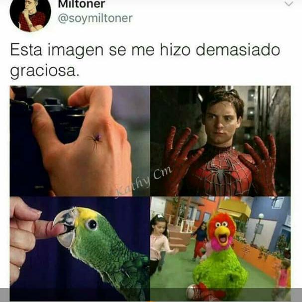 Memeros All 100%