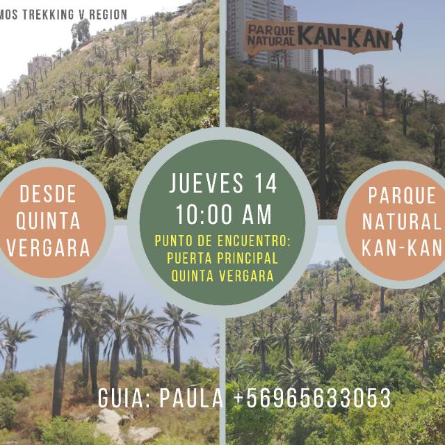 Hagamos Trekking V Region