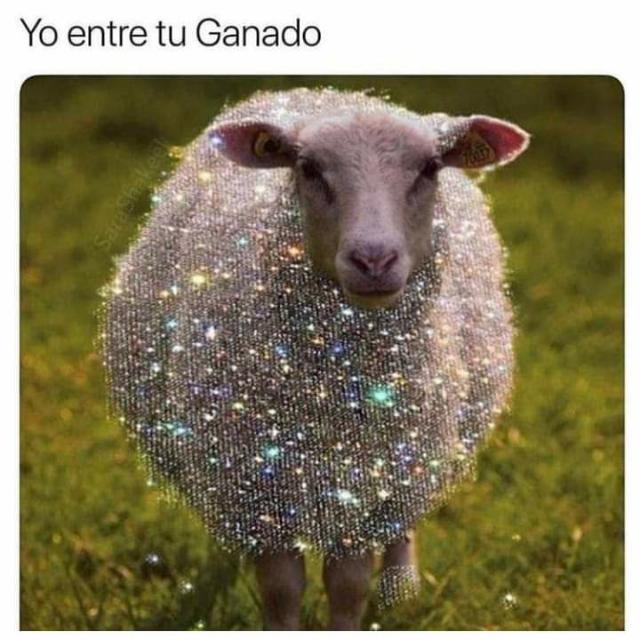 💯🔯💠💟