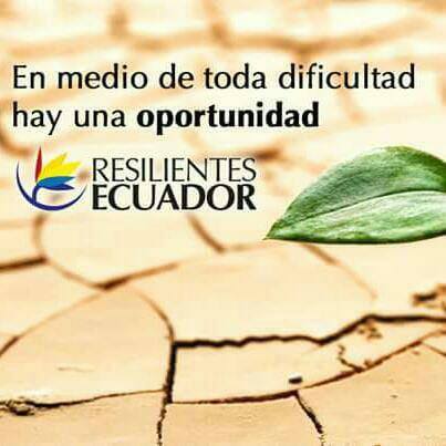 Comunidad Resilientes EC