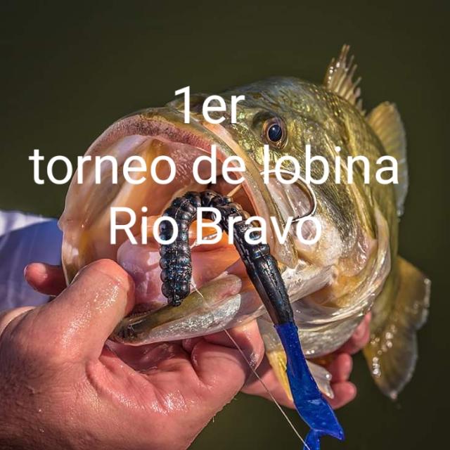 1ER TORNEO LOBINA RIO BRA