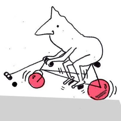 BIKE POLO 🚲 lunes 20:30hs