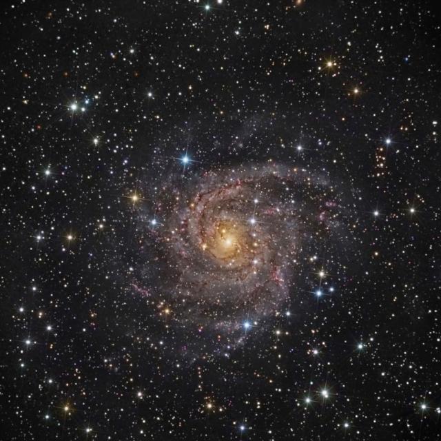 Perseidas lora del rio 💫