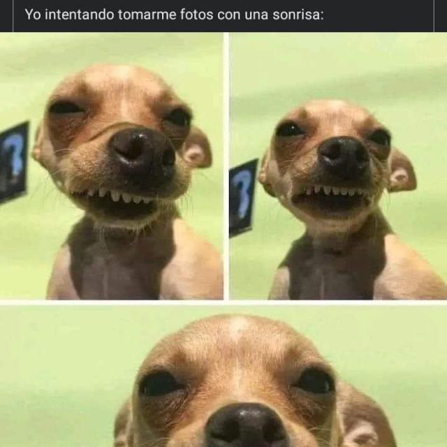 VENTA DE MOTOS MONTEAGUDO