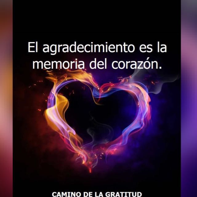 Gratitud 100
