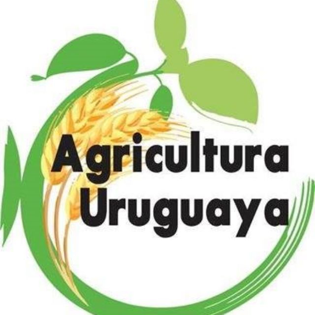 Agricultura uruguaya® 🌾🌿🌽