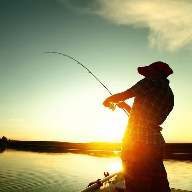 COMPAÑEROS DE LA PESCA