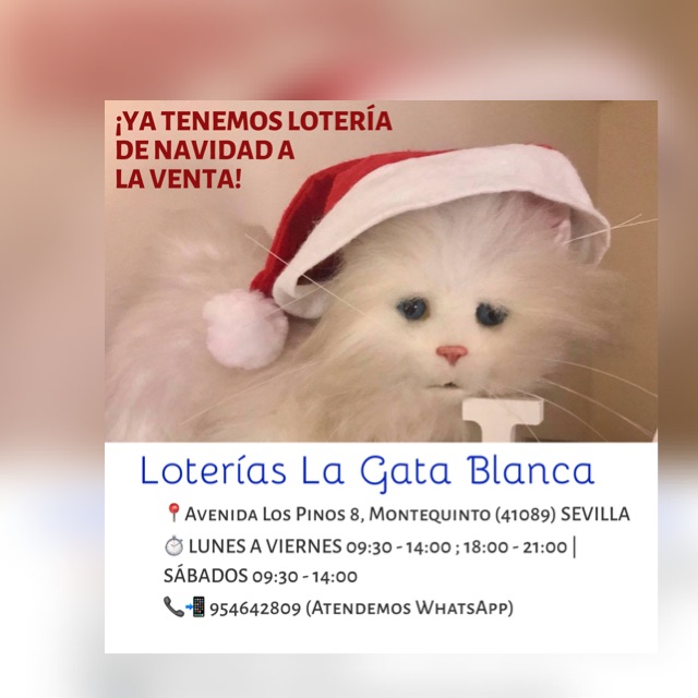 LOTERÍAS LA GATA BLANCA🍀🐈