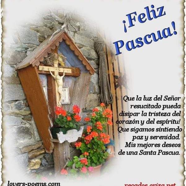 Fotos denuncia paillaco