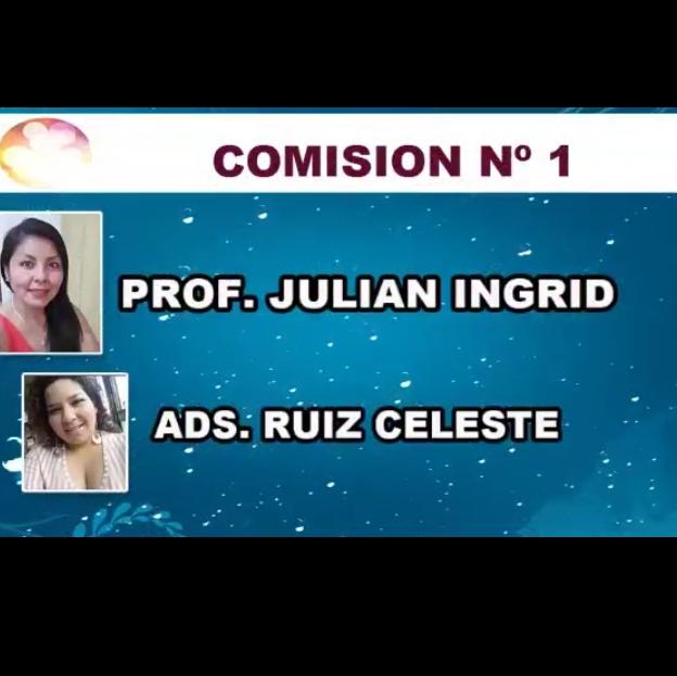 COMISIÓN 1 IEDPSA