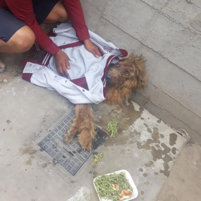 FIDO CORAZÓN ❤🙏